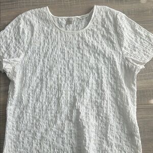 Christopher & Banks White Textured Short Sleeve Top